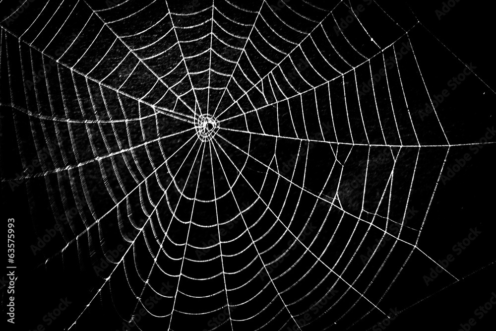 pretty scary frightening spider web for halloween