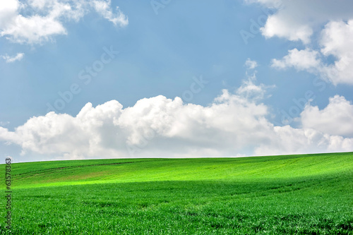 Spring time landscape of green field and blues sky