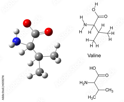 Structural model of valine molecule