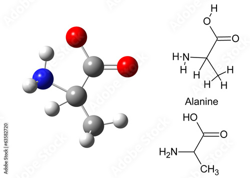 Structural model of alanine molecule