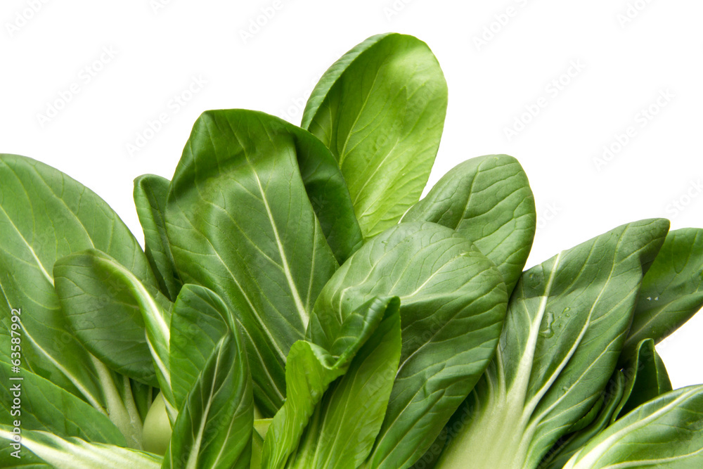 baby bokchoi