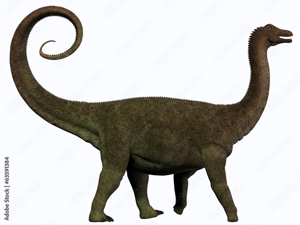Saltasaurus Profile Saltasaurus Profile