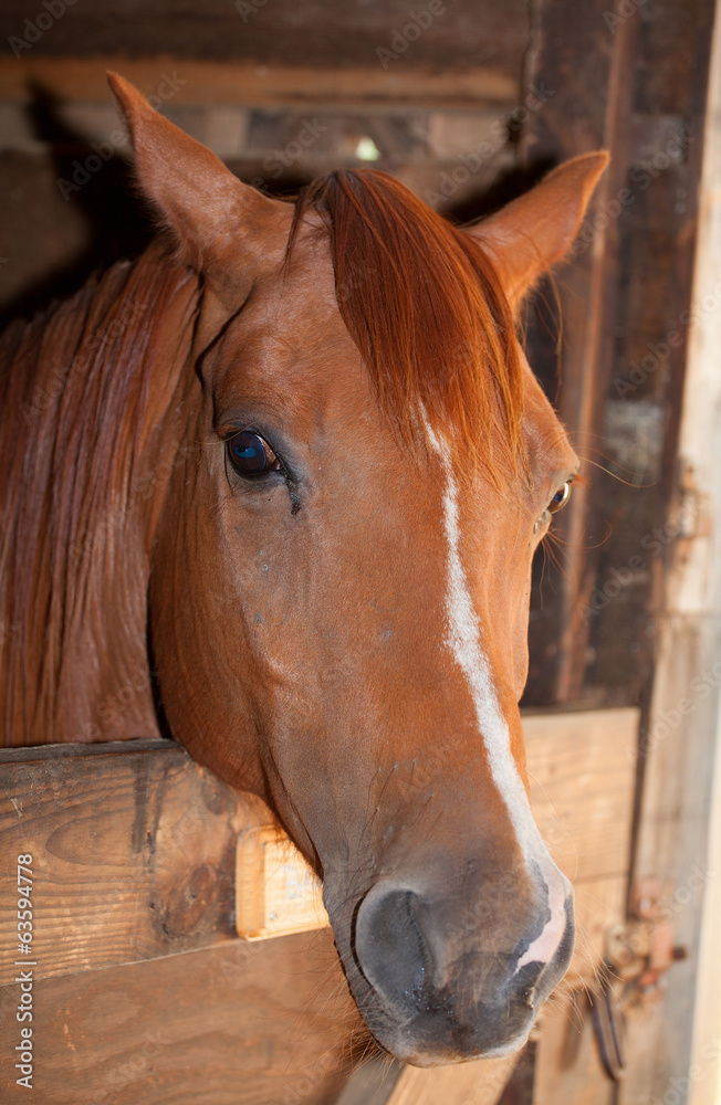 Obraz premium Ready to run