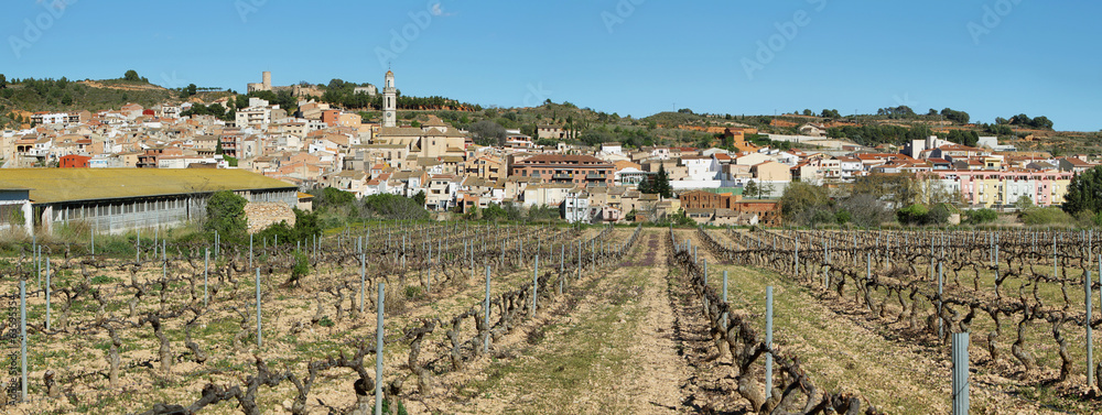 Obraz premium Vila-rodona village