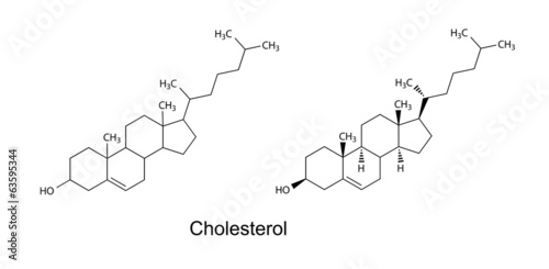 Structural formulas of cholesterol molecule