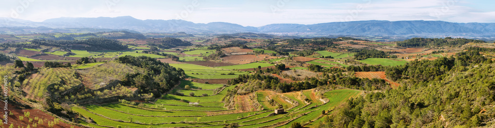 Plantation fields near Vallbona de les Monges