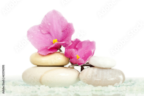 Spa stones and pink flower