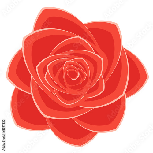 scarlet rose