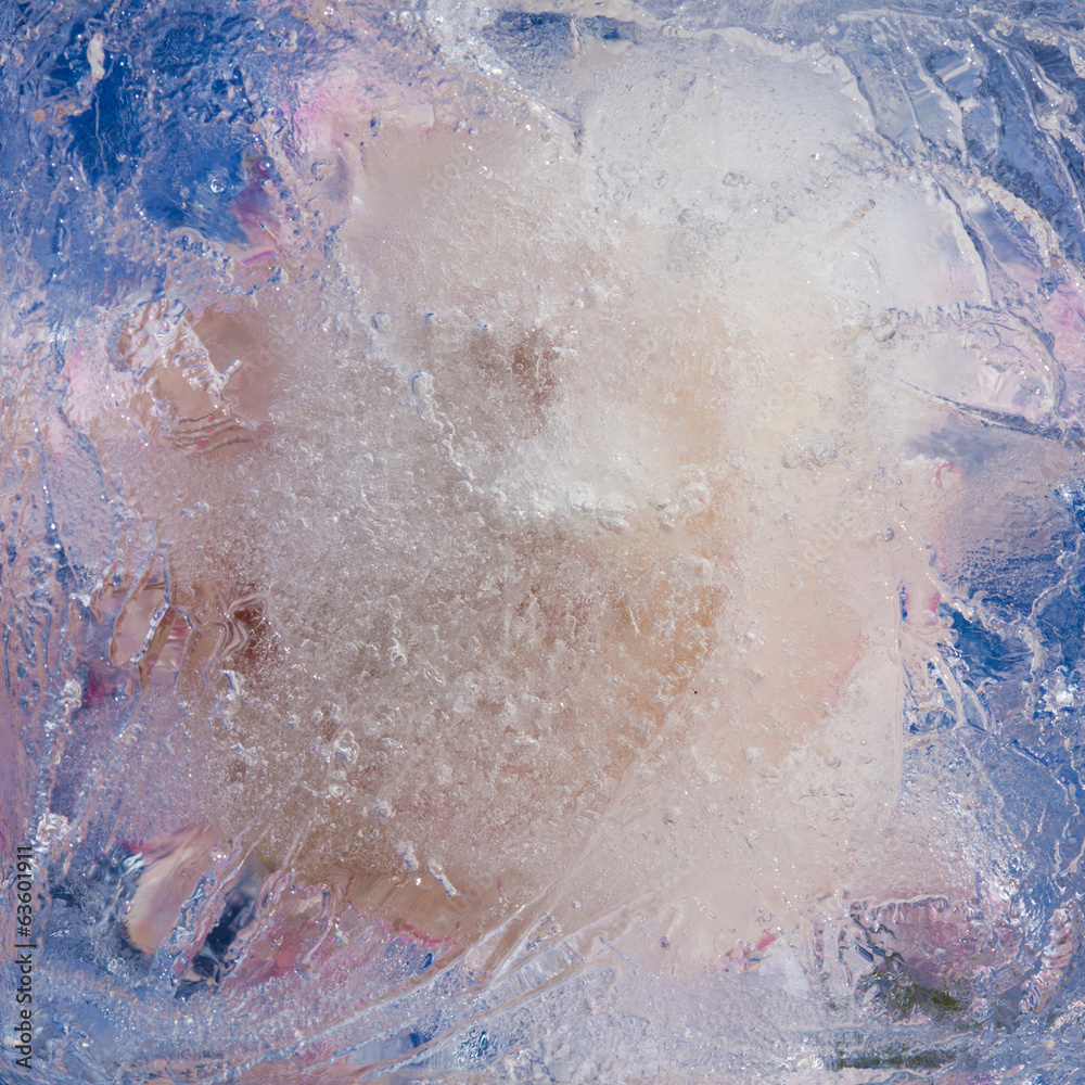 Fototapeta premium icy plants