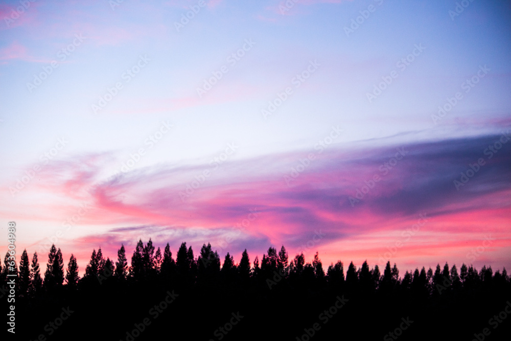 sunset dream sky sweety silhouette row of pine and mountain