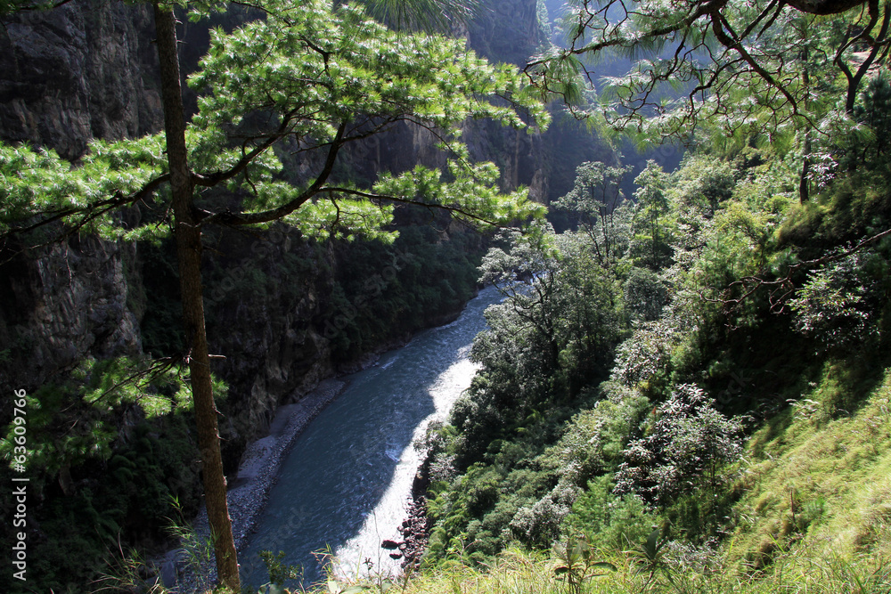 River and forest River and forest