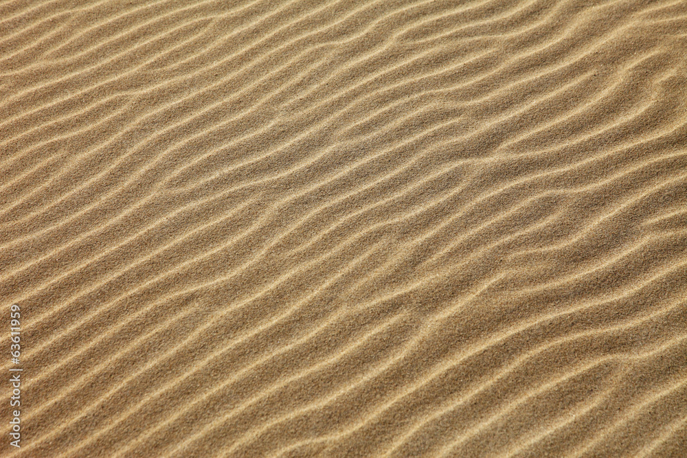Sand Sand