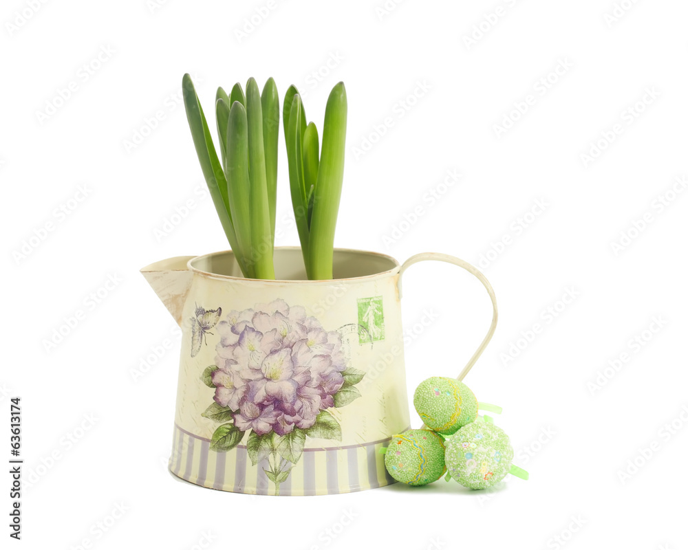 Fototapeta premium hyacinth in a pot with Easter eggs