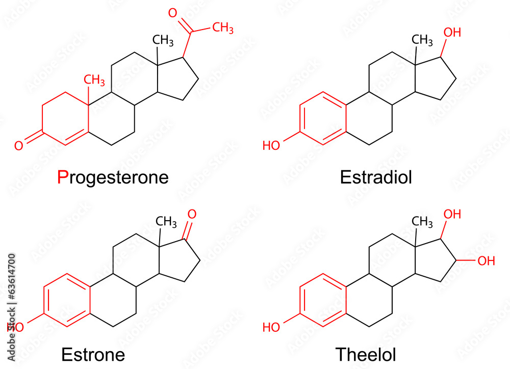 Structural formulas of female sex hormones with marked fragments