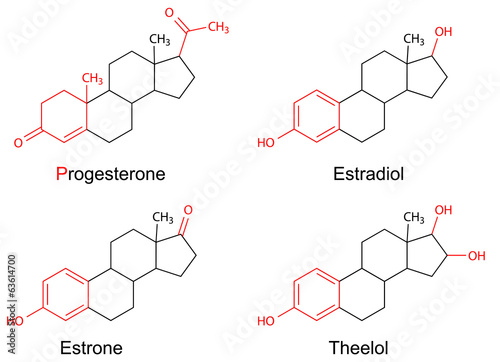 Structural formulas of female sex hormones with marked fragments