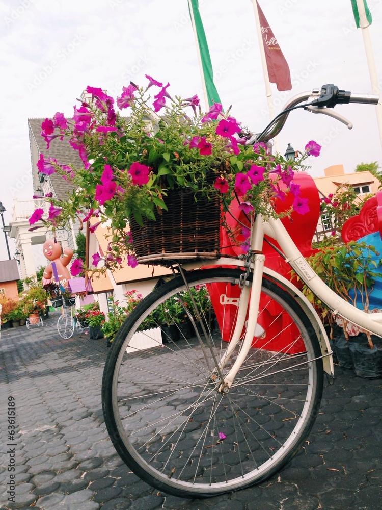  Flowers in basket bike