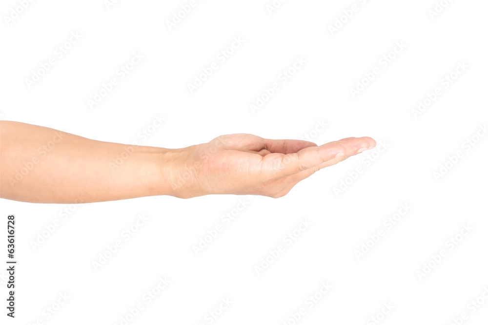 man hand isolated man hand isolated