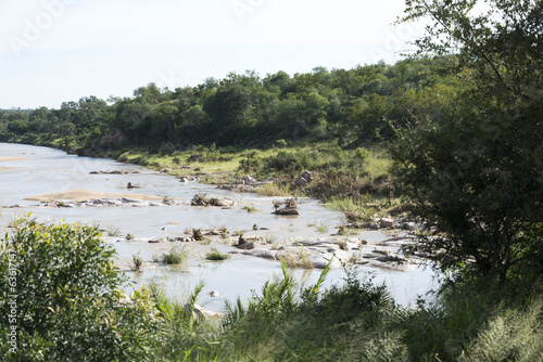 elephant river in kruger national park