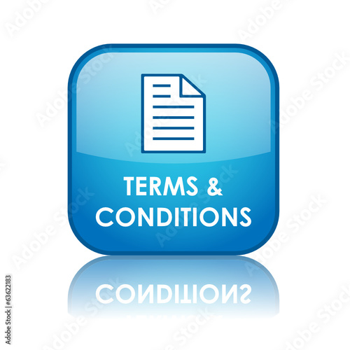 TERMS AND CONDITIONS Web Button (legal use contract information)