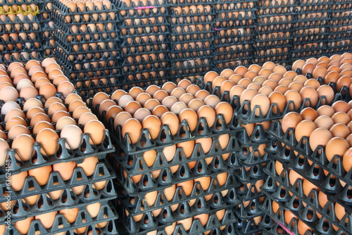 Fresh eggs from farm