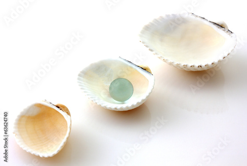 Shells with pearl isolated on white