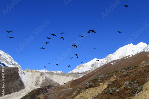 Mountain and crows © Valery Shanin