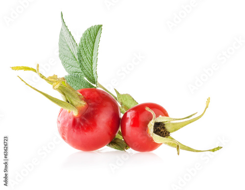 Rose hips isolated on white background photo