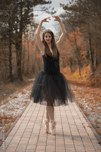 Obraz na płótnie ballerina in autunno w salonie
