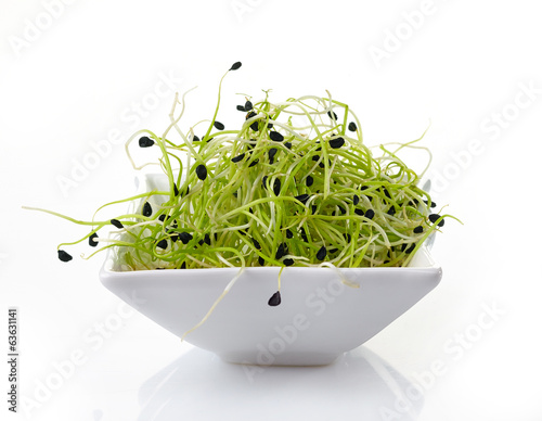 fresh garlic sprouts