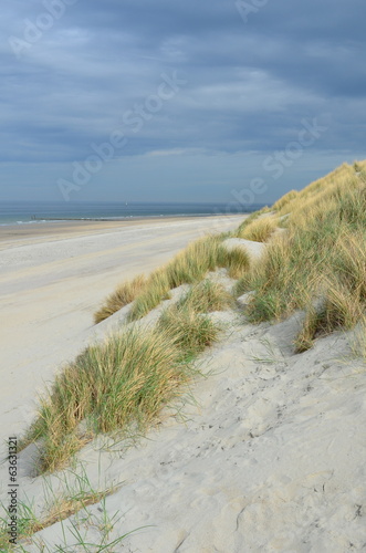 Dunes  beach and sea in Renesse  Zeeland  Netherlands
