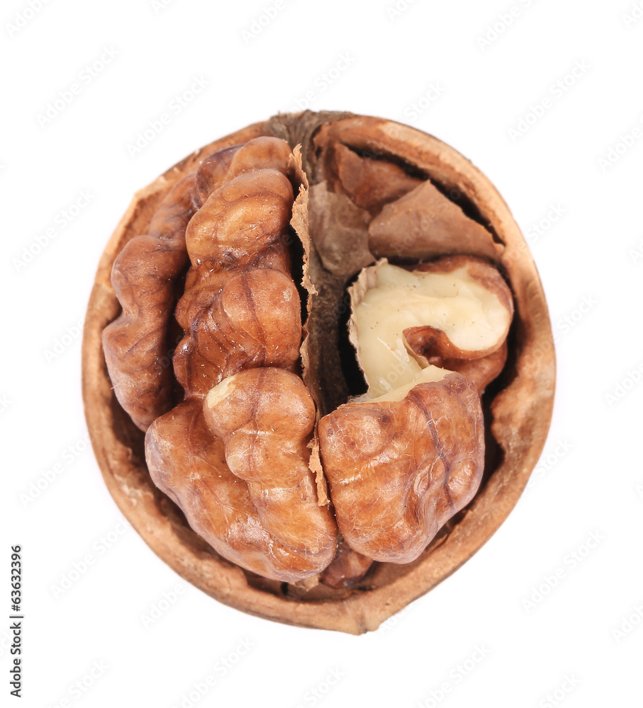 Halved walnut. Halved walnut.