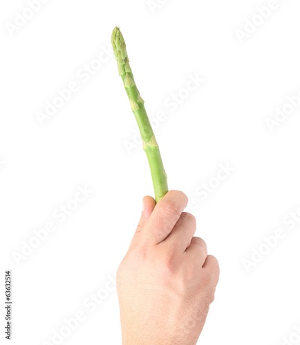 Hand holds fresh green asparagus.
