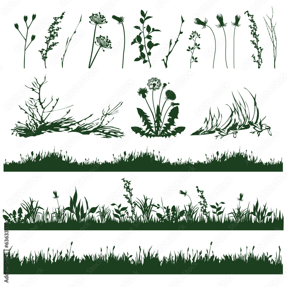 Photography grass