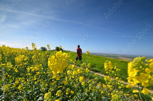 trekking au printemps © Image'in