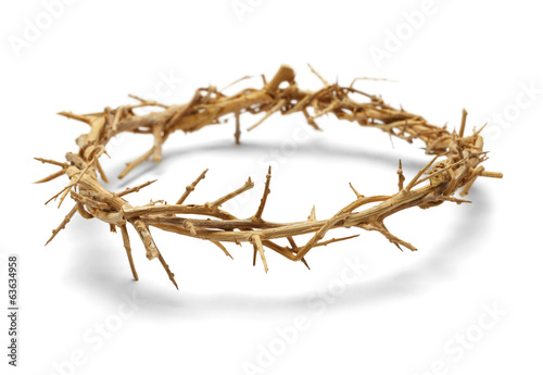 Crown of Thorns photo