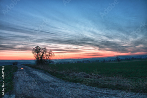 Lonely tree and beautiful sky after sunset hdr
