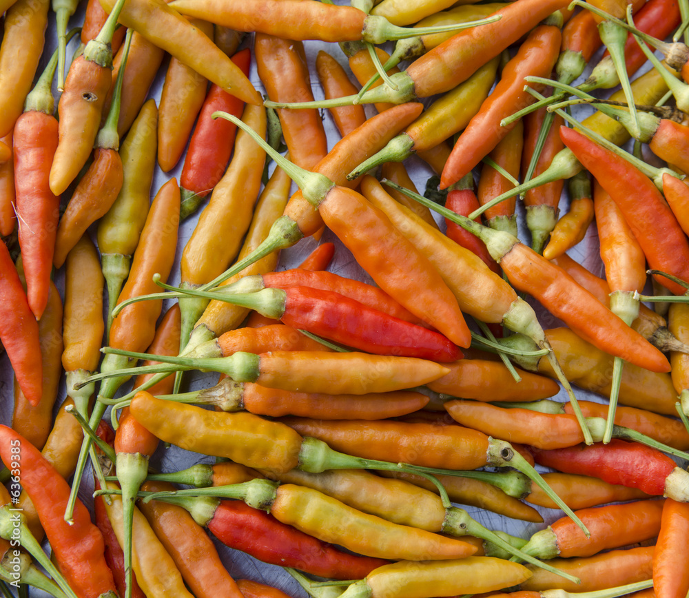 The combined, dried chillies are many red pigments The combined, dried chillies are many red pigments