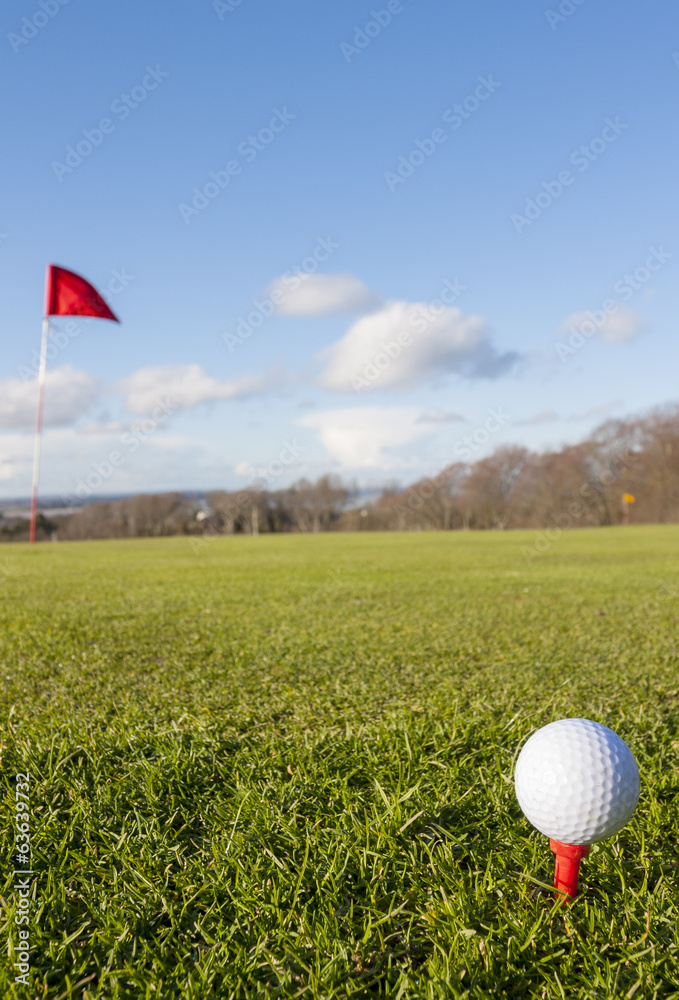 Obraz premium Golf green