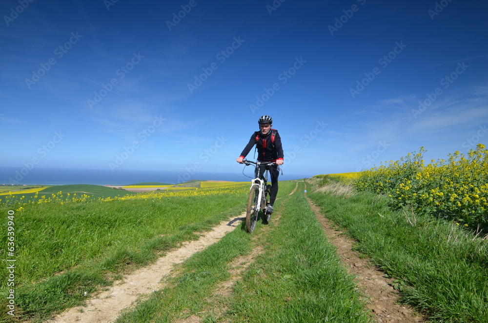 vtt au printemps