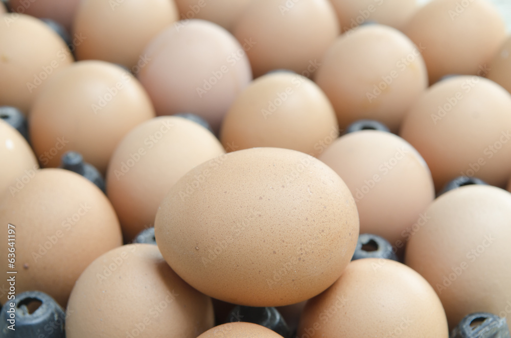 background of fresh eggs for sale at a market