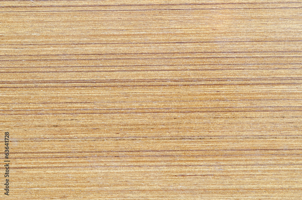 Texture of wood background closeup Texture of wood background closeup