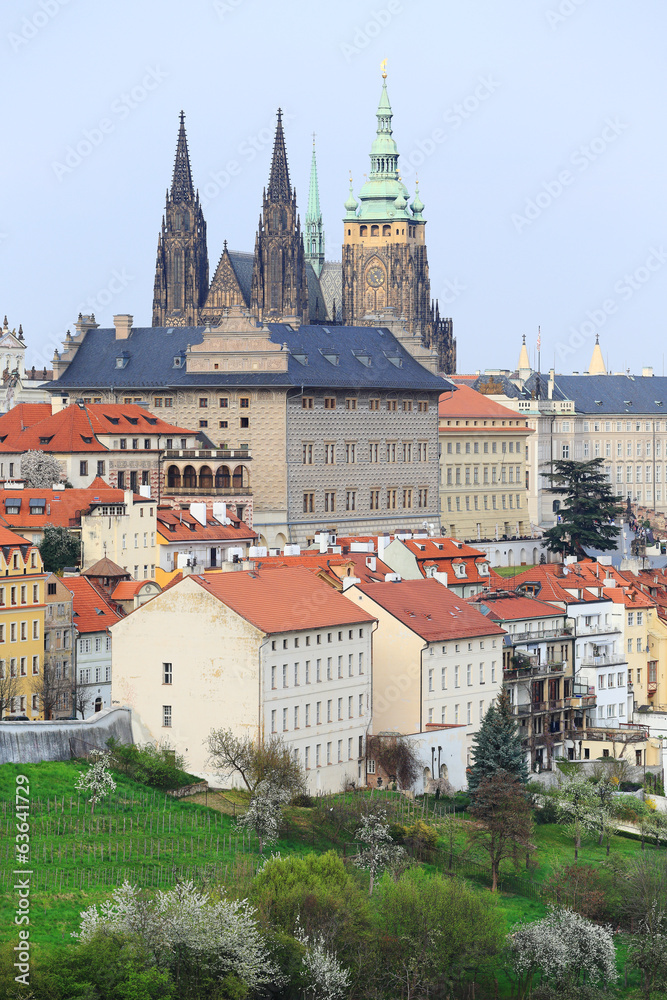 Spring Prague gothic Castle with flowering Trees