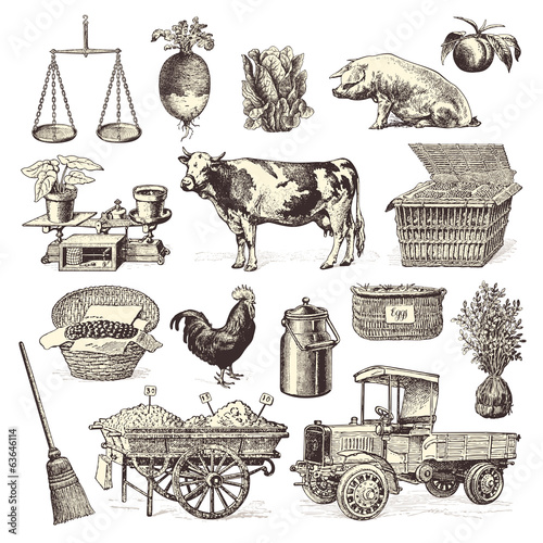 farmers' market design elements