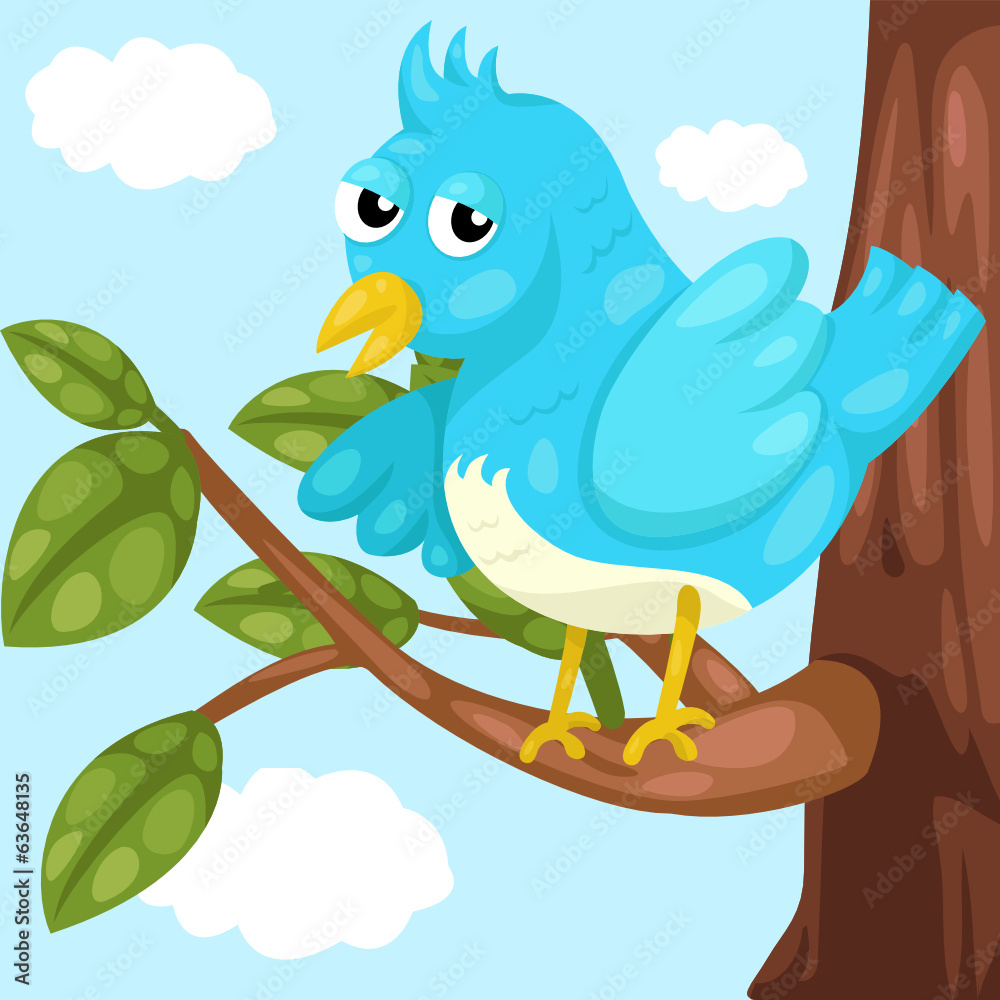 Blue bird Blue bird