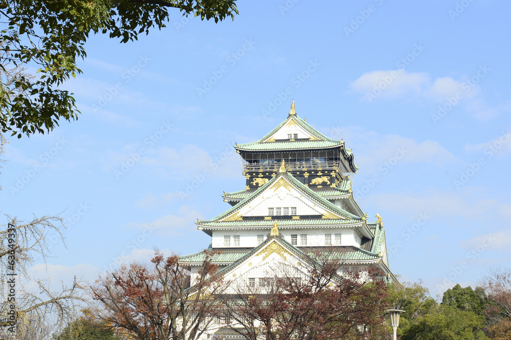 Fototapeta premium Castle