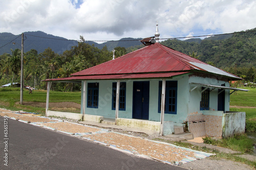 Traditional house