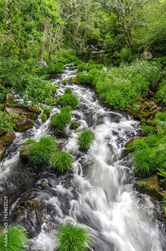 Arenteiro river