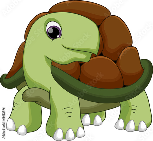 Cute turtle cartoon