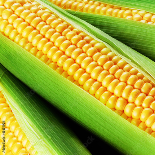 corn cob