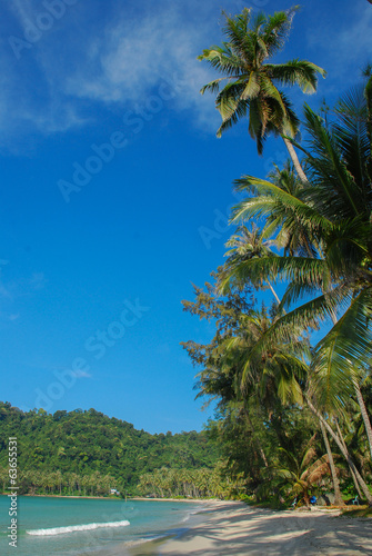 Landscape of tranquil island on blue background.